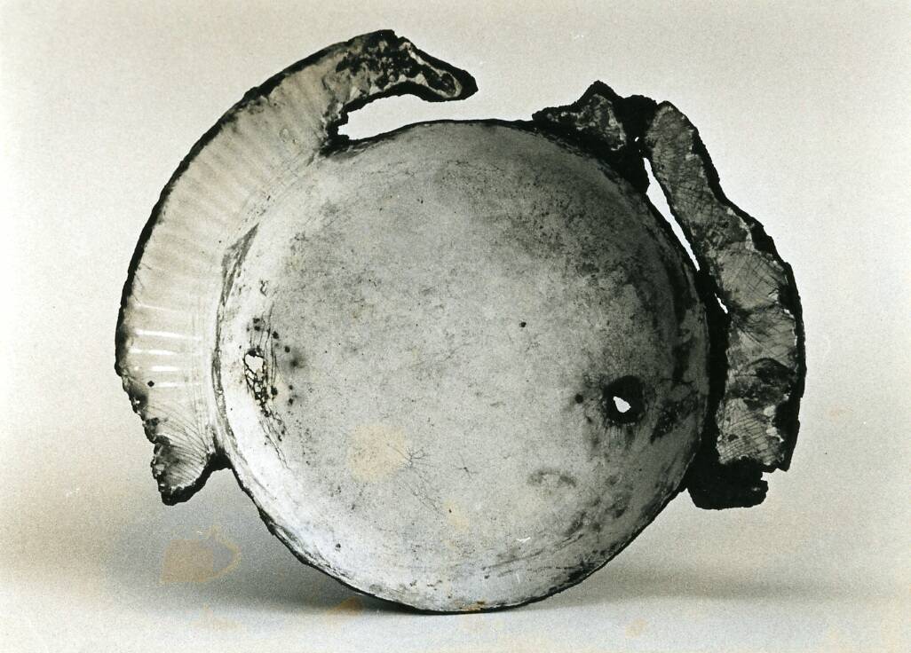 c-52 Hipòtesi Gaia.